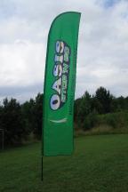 Promotional Message Flags